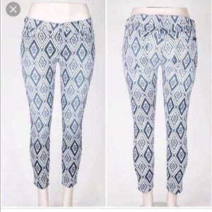 NWT 7 For All Mankind Cropped Skinny Ikat